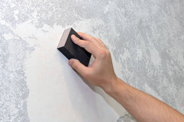 Best Dehumidification Services  in Atwood, TN