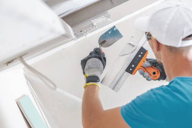 Best Mold Damage Restoration  in Atwood, TN
